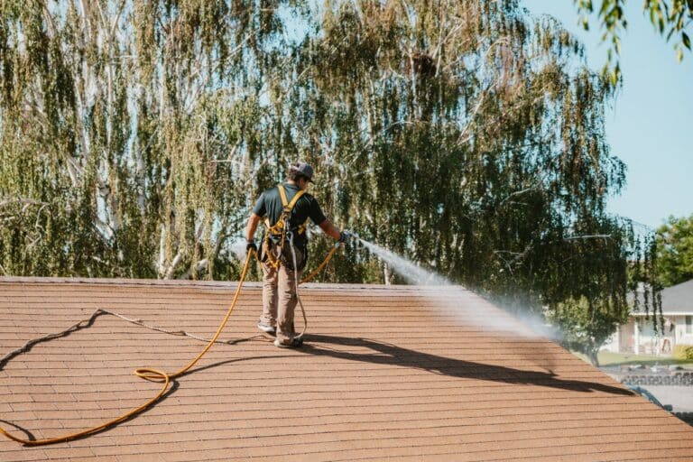roof cleaning services roof maxx