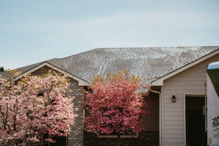 one of RoofMaxx of Tri-Cities client's roof after roofmaxx treatment application