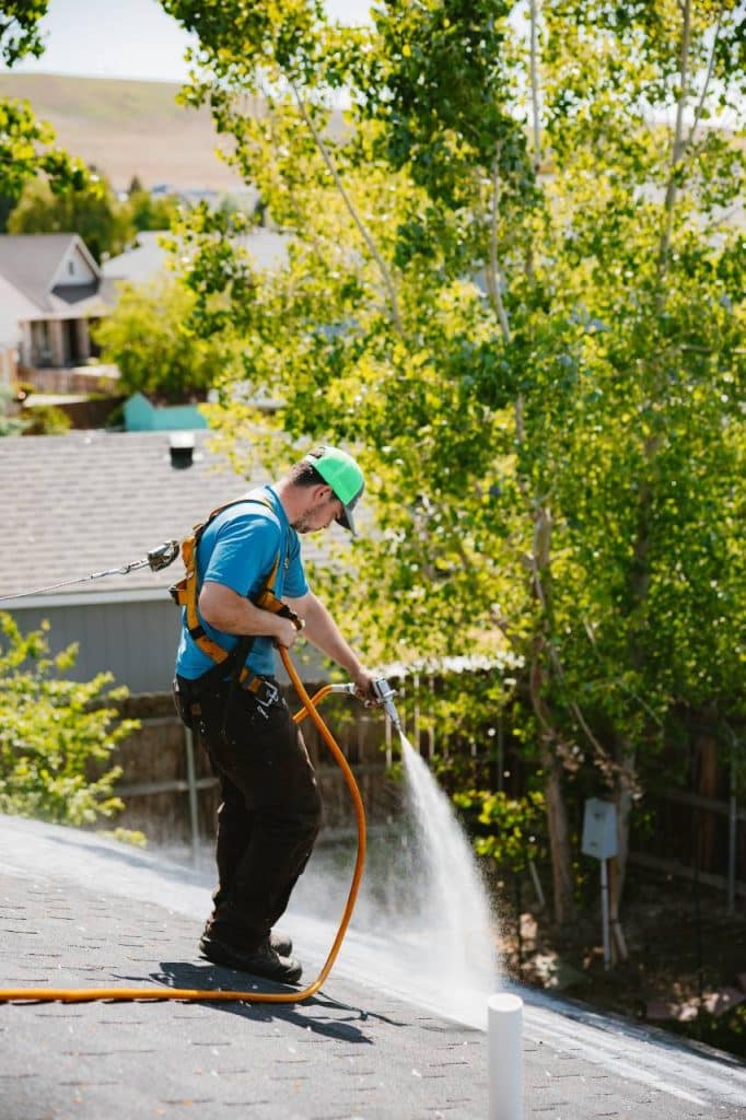 roof maxx shingle treatment